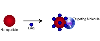 Targeted Drug Delivery